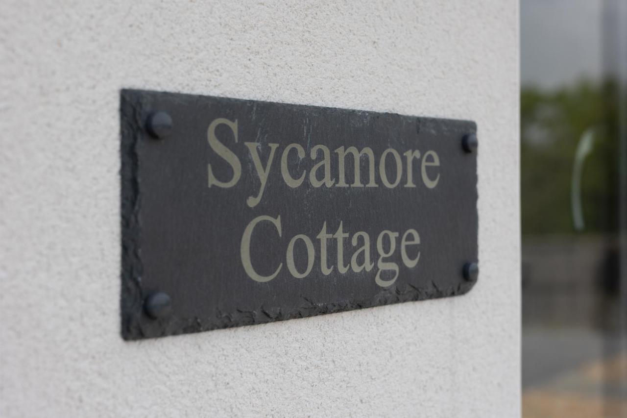 Sycamore Cottage Tenby Esterno foto